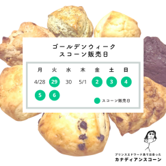 秋の新作メニューが登場！
