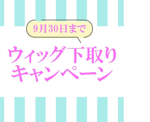 ウィッグ下取りキャンペーン 