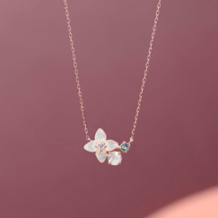 秋の新作メニューが登場！