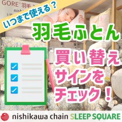 秋の新作メニューが登場！