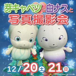 芽キャベツ＆白ナスと写真撮影会