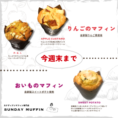 秋の新作メニューが登場！