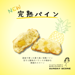 秋の新作メニューが登場！