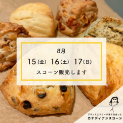 秋の新作メニューが登場！