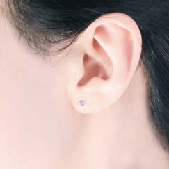 秋の新作メニューが登場！