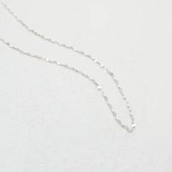 秋の新作メニューが登場！