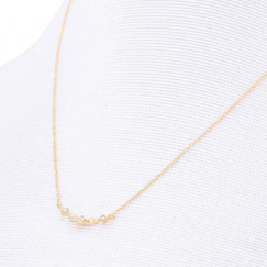 秋の新作メニューが登場！