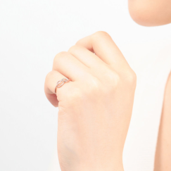 秋の新作メニューが登場！