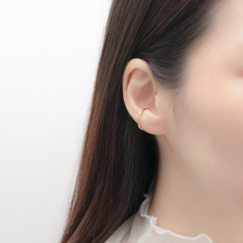 秋の新作メニューが登場！