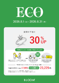 秋の新作メニューが登場！