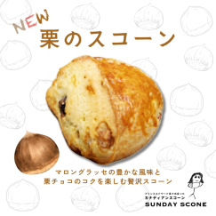 秋の新作メニューが登場！